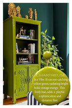 Load image into Gallery viewer, One Hour Enamel Paint