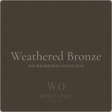 Load image into Gallery viewer, One Hour Enamel Paint