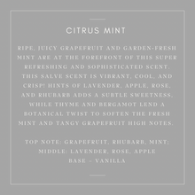 Load image into Gallery viewer, Furniture/Leather Salve & Brush Bundles