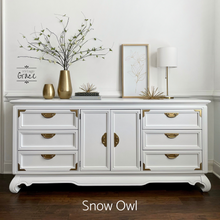 Load image into Gallery viewer, Furniture Flip Kit