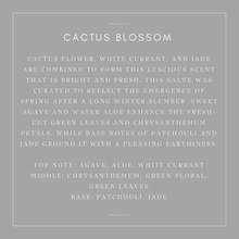 Load image into Gallery viewer, Furniture/Leather Salve & Brush Bundles