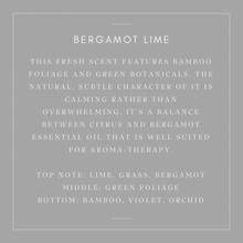 Load image into Gallery viewer, Furniture Tonic & Brush Bundle