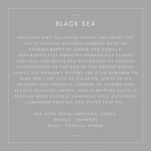 Load image into Gallery viewer, Leather Salve
